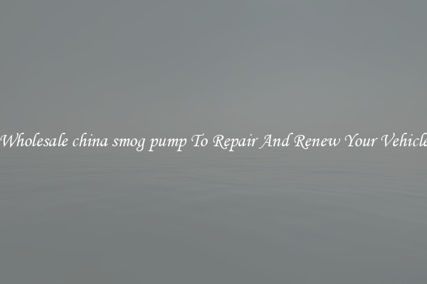 Wholesale china smog pump To Repair And Renew Your Vehicle