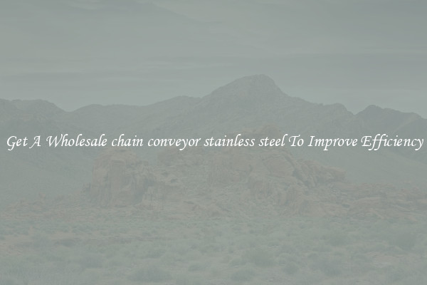 Get A Wholesale chain conveyor stainless steel To Improve Efficiency