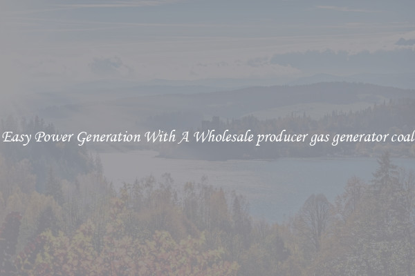 Easy Power Generation With A Wholesale producer gas generator coal