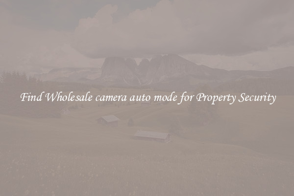 Find Wholesale camera auto mode for Property Security