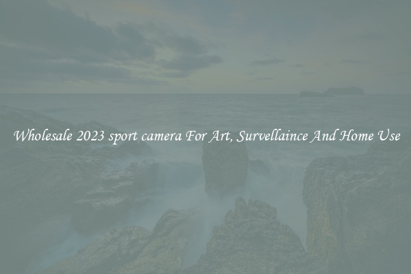 Wholesale 2023 sport camera For Art, Survellaince And Home Use