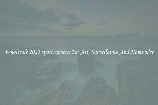 Wholesale 2023 sport camera For Art, Survellaince And Home Use