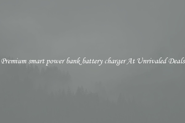 Premium smart power bank battery charger At Unrivaled Deals