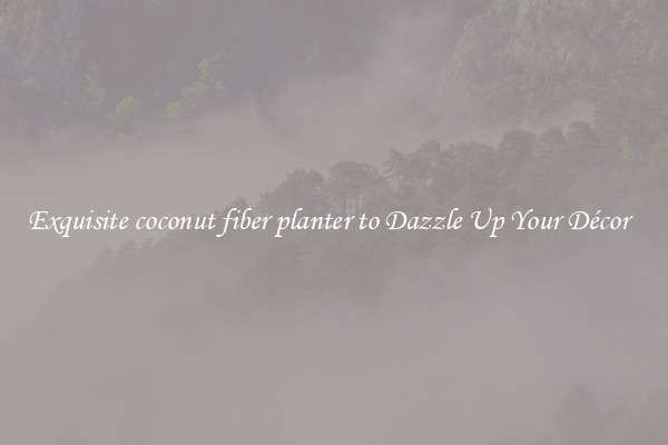 Exquisite coconut fiber planter to Dazzle Up Your Décor  