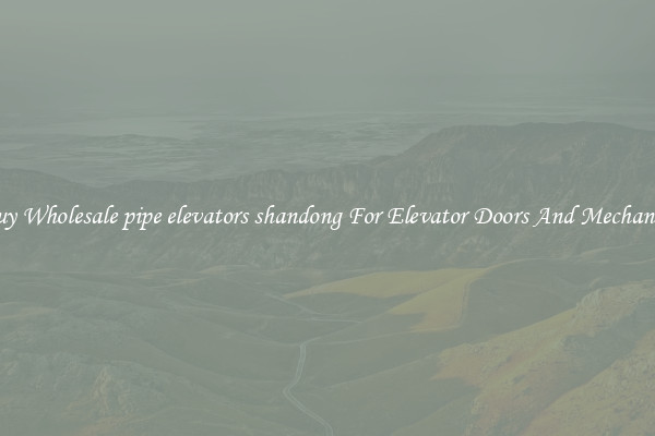 Buy Wholesale pipe elevators shandong For Elevator Doors And Mechanics