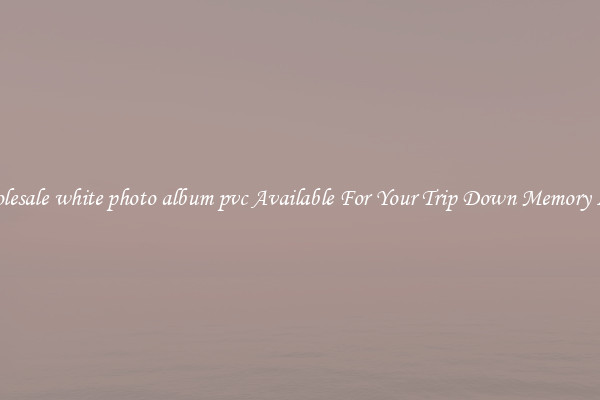 Wholesale white photo album pvc Available For Your Trip Down Memory Lane