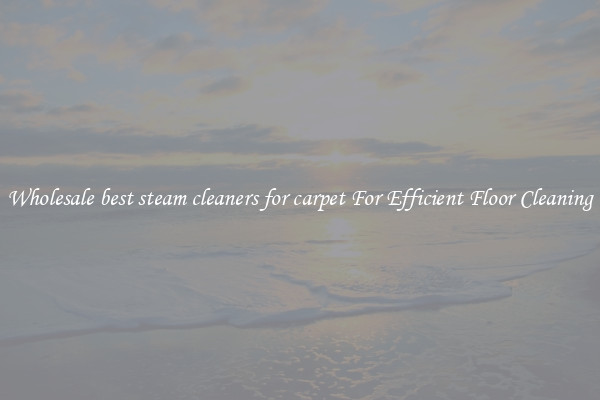 Wholesale best steam cleaners for carpet For Efficient Floor Cleaning