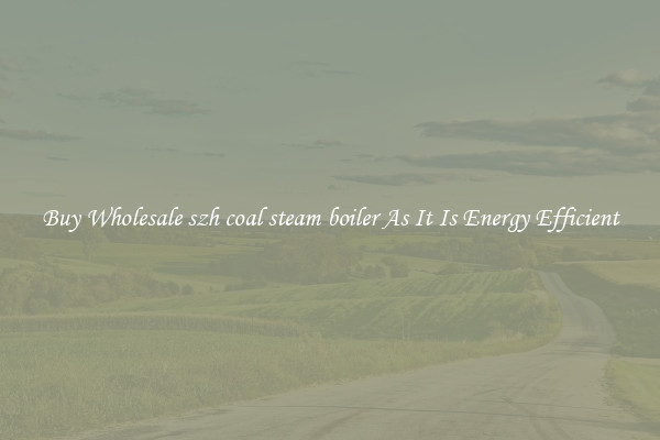 Buy Wholesale szh coal steam boiler As It Is Energy Efficient