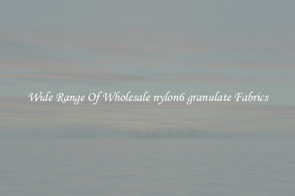 Wide Range Of Wholesale nylon6 granulate Fabrics