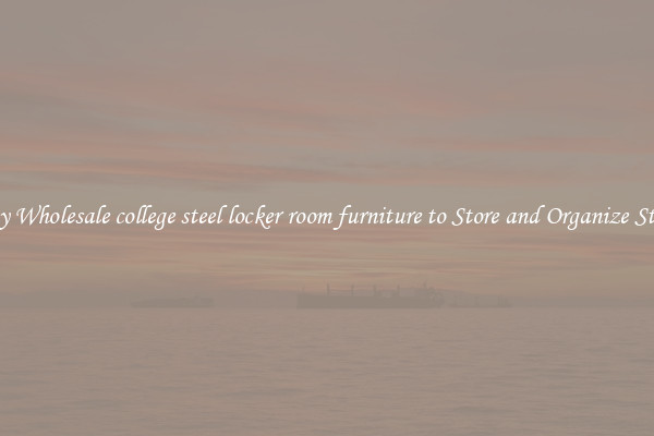 Buy Wholesale college steel locker room furniture to Store and Organize Stuff