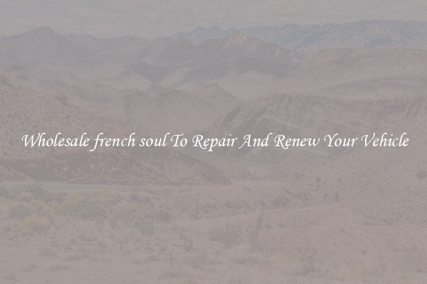Wholesale french soul To Repair And Renew Your Vehicle