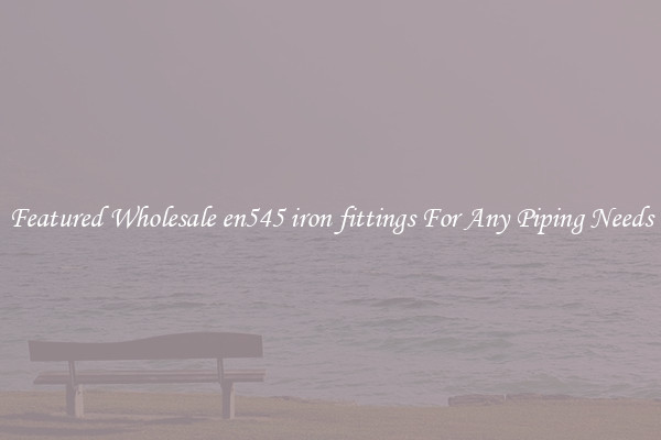 Featured Wholesale en545 iron fittings For Any Piping Needs
