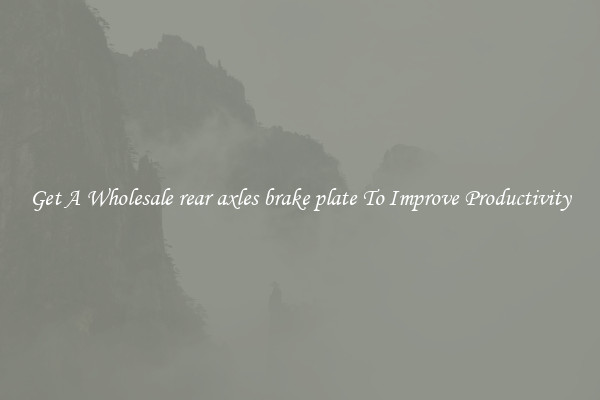Get A Wholesale rear axles brake plate To Improve Productivity