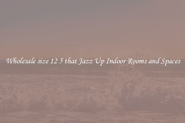 Wholesale size 12 5 that Jazz Up Indoor Rooms and Spaces