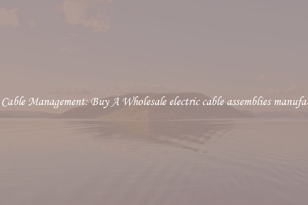 Easy Cable Management: Buy A Wholesale electric cable assemblies manufacturer