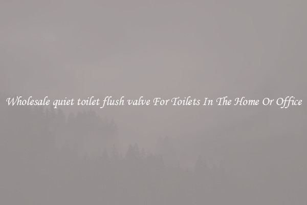 Wholesale quiet toilet flush valve For Toilets In The Home Or Office