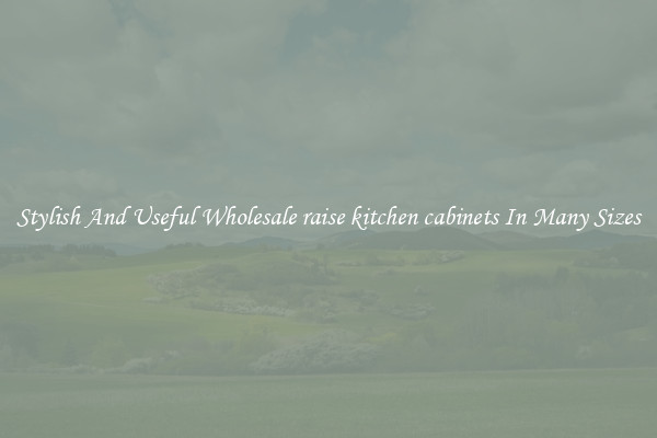 Stylish And Useful Wholesale raise kitchen cabinets In Many Sizes