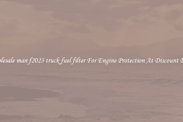 Wholesale man f2023 truck fuel filter For Engine Protection At Discount Prices