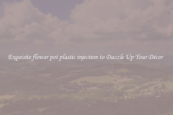 Exquisite flower pot plastic injection to Dazzle Up Your Décor  
