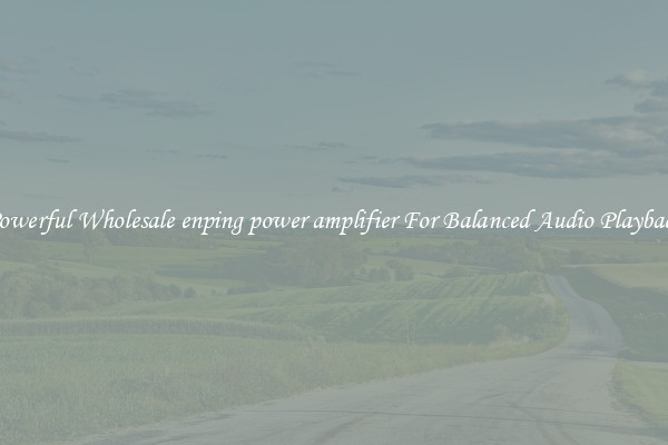 Powerful Wholesale enping power amplifier For Balanced Audio Playback